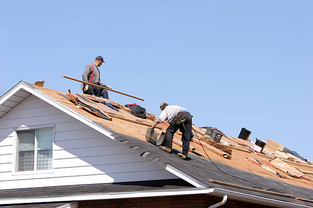 Professional Roofing servicies in Wapello, IA